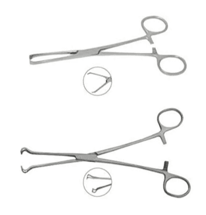 Forgesy Stainless Steel 8 inch Babcock Forceps & 6 inch Allis Forceps Set, FORGESY151(FORGESY151)