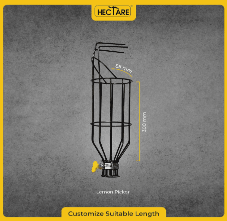 Hectare Multi-Purpose Small Fruit Picker & Plucker Basket | Ideal for Lemon, Chiku, Sapota and Amla Harvesting | Lightweight Manual Gardening Tool | D(Hectare Multi-Purpose Small Fruit Picker & Plucker)