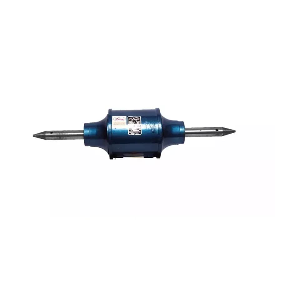 Lion 1 HP 10 Inch Light Duty Polisher an Product focal point