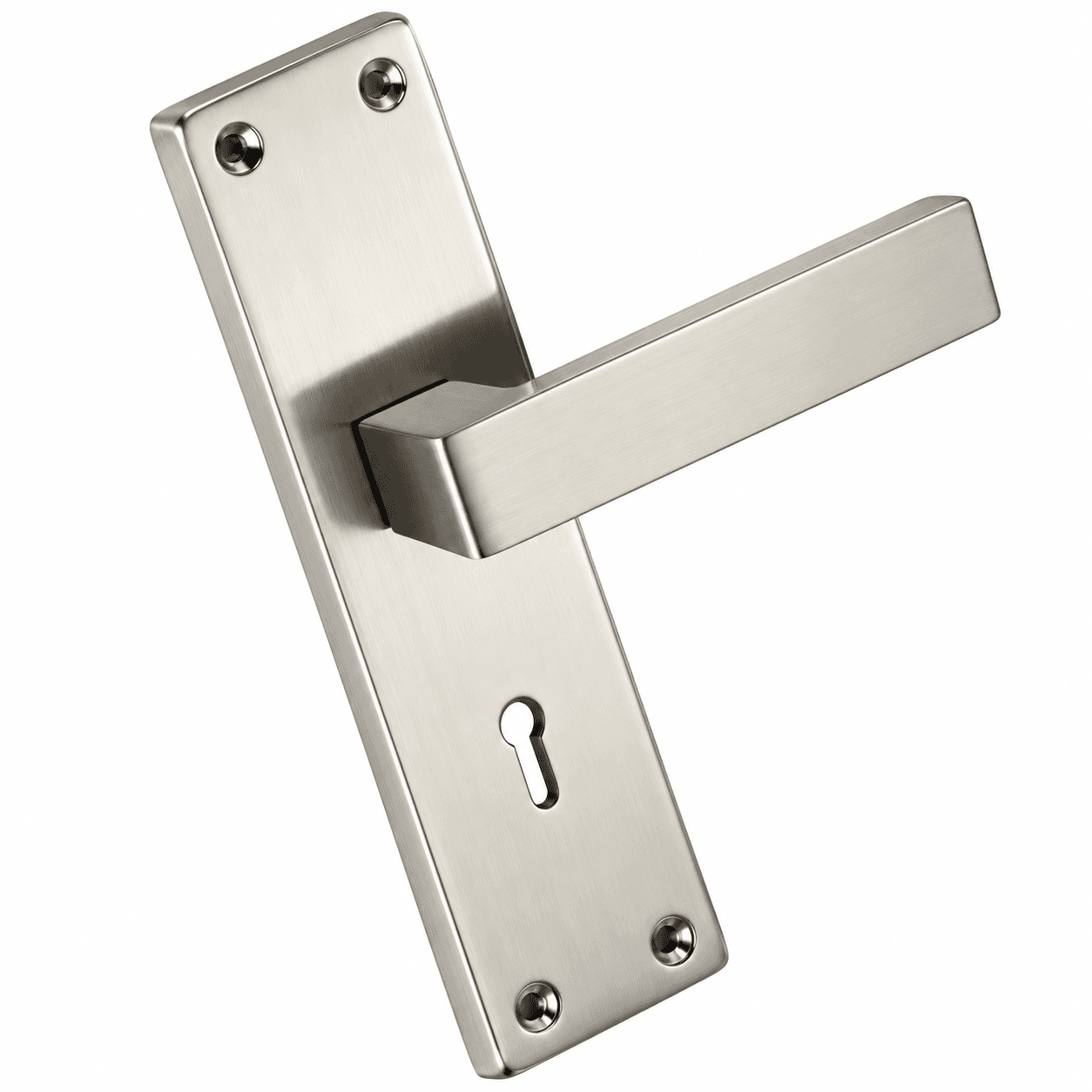Anjna Iron Mortise D Type 8 inch